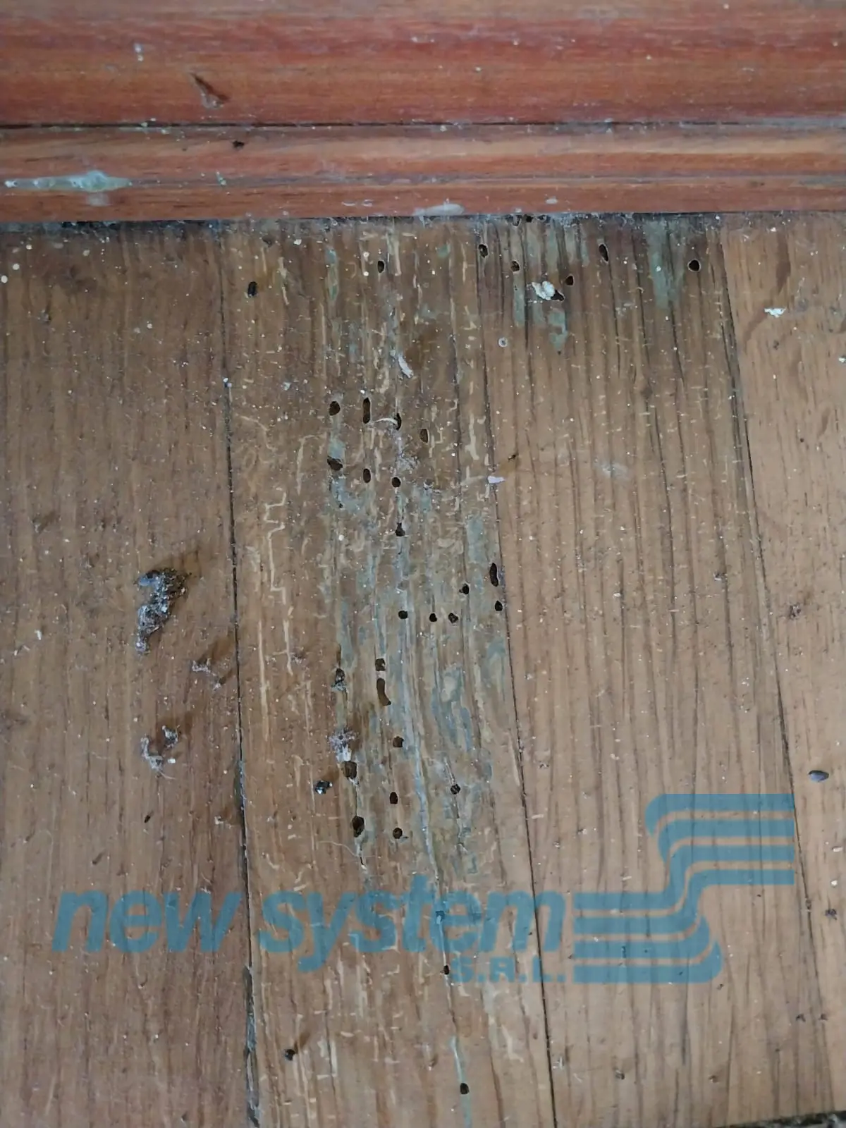 Agujeros de Taladrillo en la madera