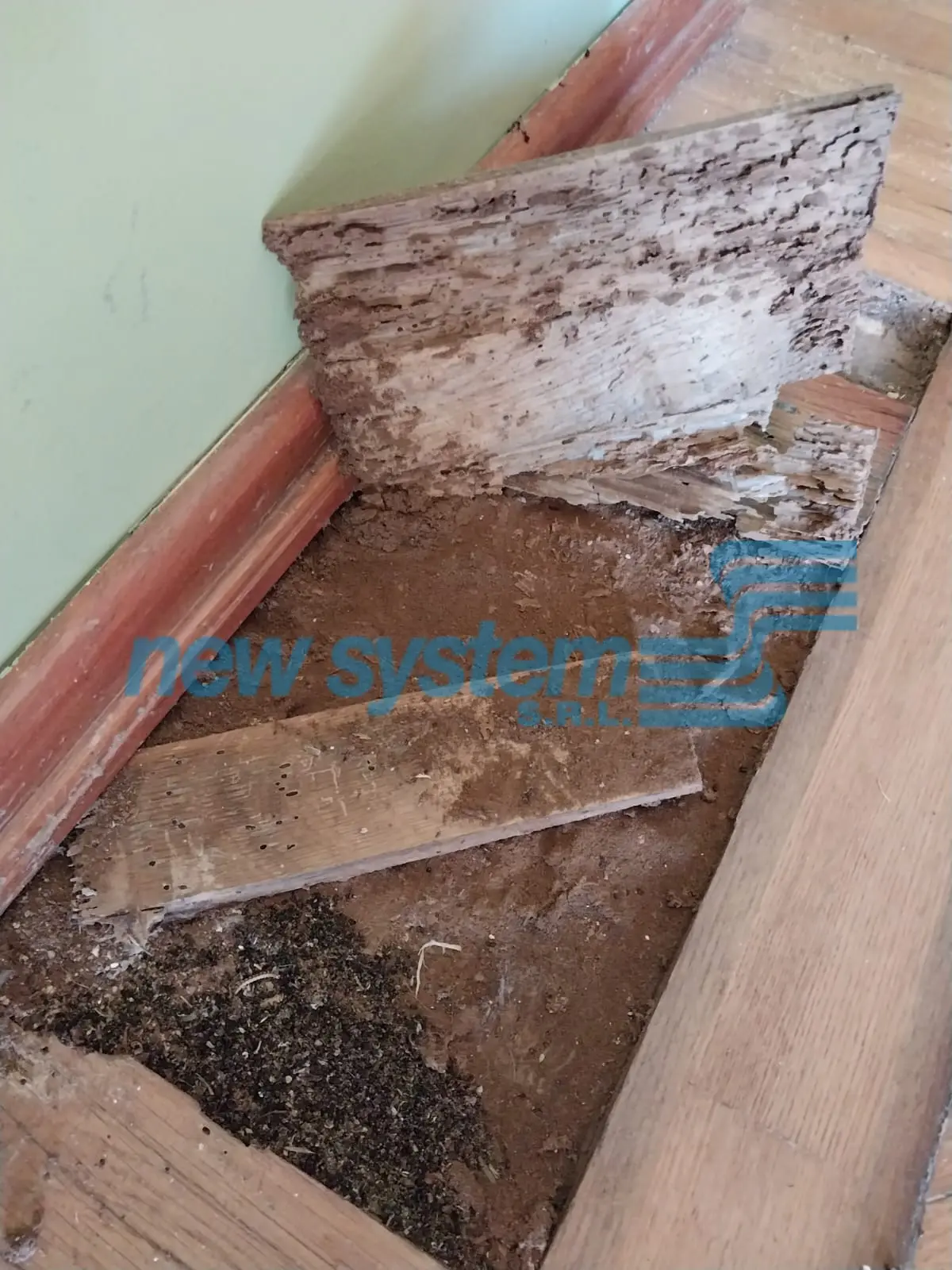 Ejmplo de como queda la madera por el Taladrillo